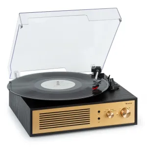 Auna Berklee TT Classic, gramofon, napęd paskowy, 33 1/3 i 45 obr./min, głośniki stereo #94268