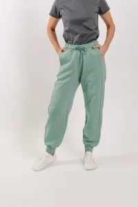 Damskie spodnie dresowe Be Lenka Essentials - Pistachio Green #465821