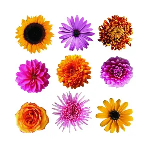 Dekoracja samoprzylepna Flowers, 30 x 30 cm