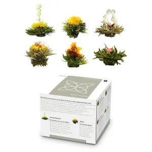 Feelino Herbata kwitnąca, 6 różnych odmian herbaty, pakowana pojedynczo #309219