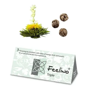 Feelino Herbata kwitnąca, 6 różnych odmian herbaty, pakowana pojedynczo