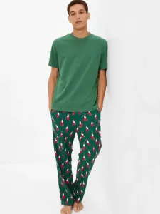 GAP Spodnie od piżamy Zielony #176185