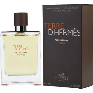 Terre d'Hermès Eau Intense Vétiver - Hermès Eau De Parfum Spray 100 ml #141329