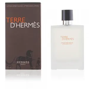 Terre d'Hermès - Hermès Aftershave 100 ml #145304