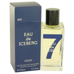 Eau De Iceberg Cedar - Iceberg Eau De Toilette Spray 100 ML