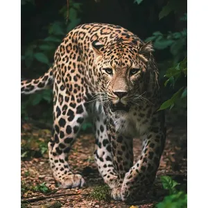 Koc dziecięcy Leopard green, 120 x 150 cm