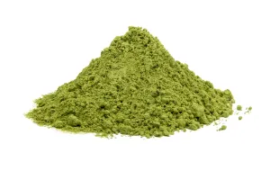 JAPOŃSKA MATCHA KIKYOU BIO- zielona herbata, 250g