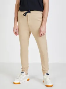 Tom Tailor Denim Spodnie dresowe Beżowy #262996