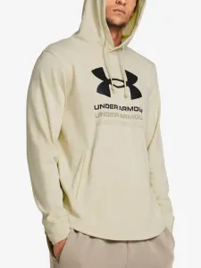 Under Armour UA Rival Terry Graphic Hood Bluza Brązowy